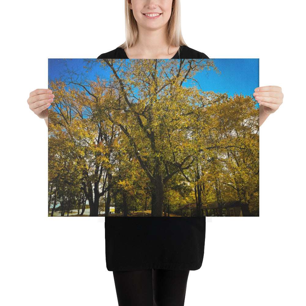 Fall Isles Canvas
