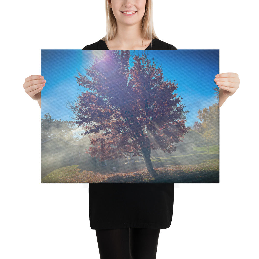 Smokey Tree Color Canvas