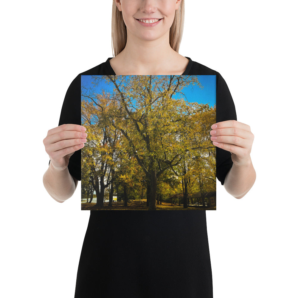 Fall Isles Canvas