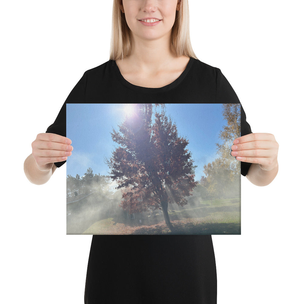 Smokey Tree Canvas