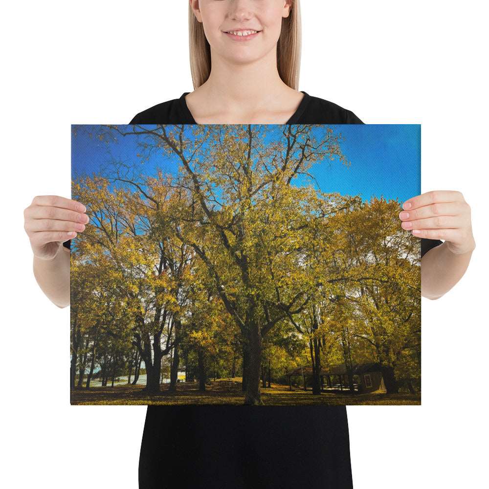 Fall Isles Canvas
