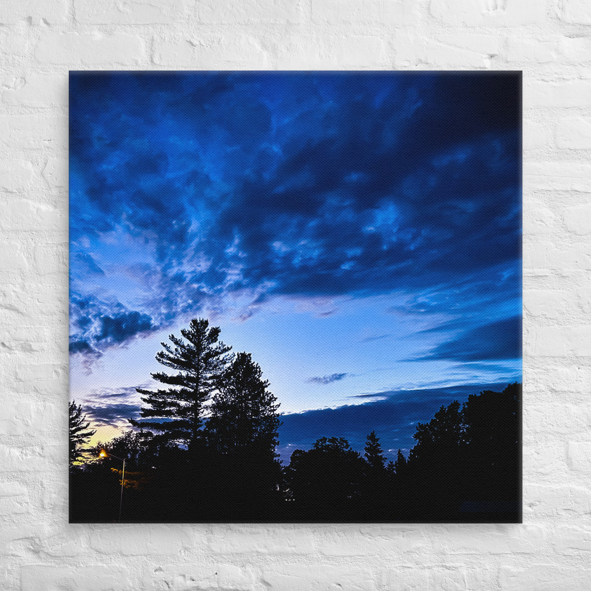 Sky Eye Canvas