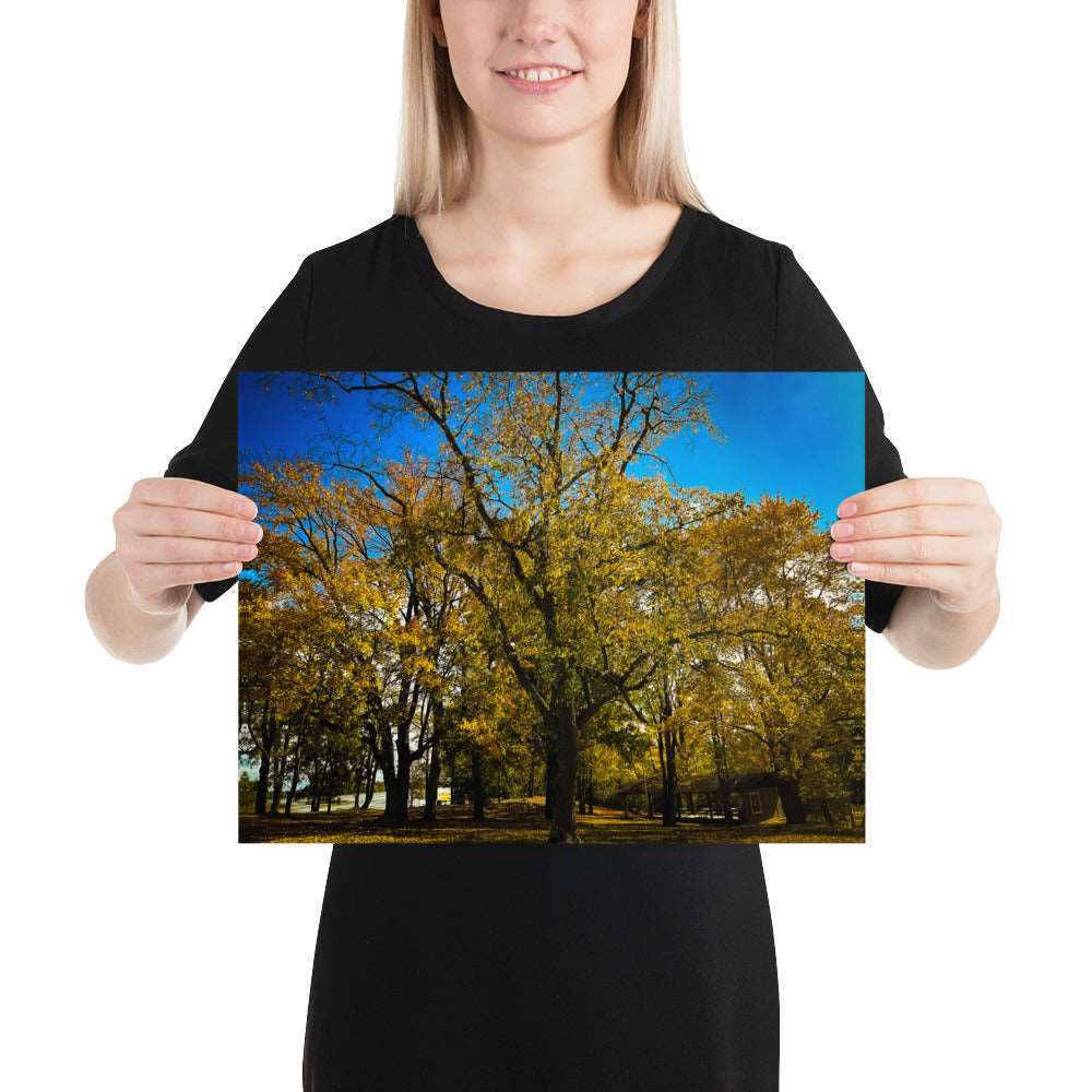 Fall Isles Poster