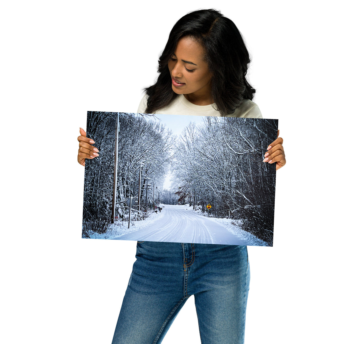 Path Of Snow Poster