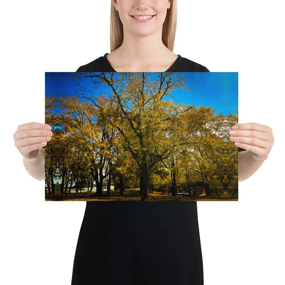 Fall Isles Poster