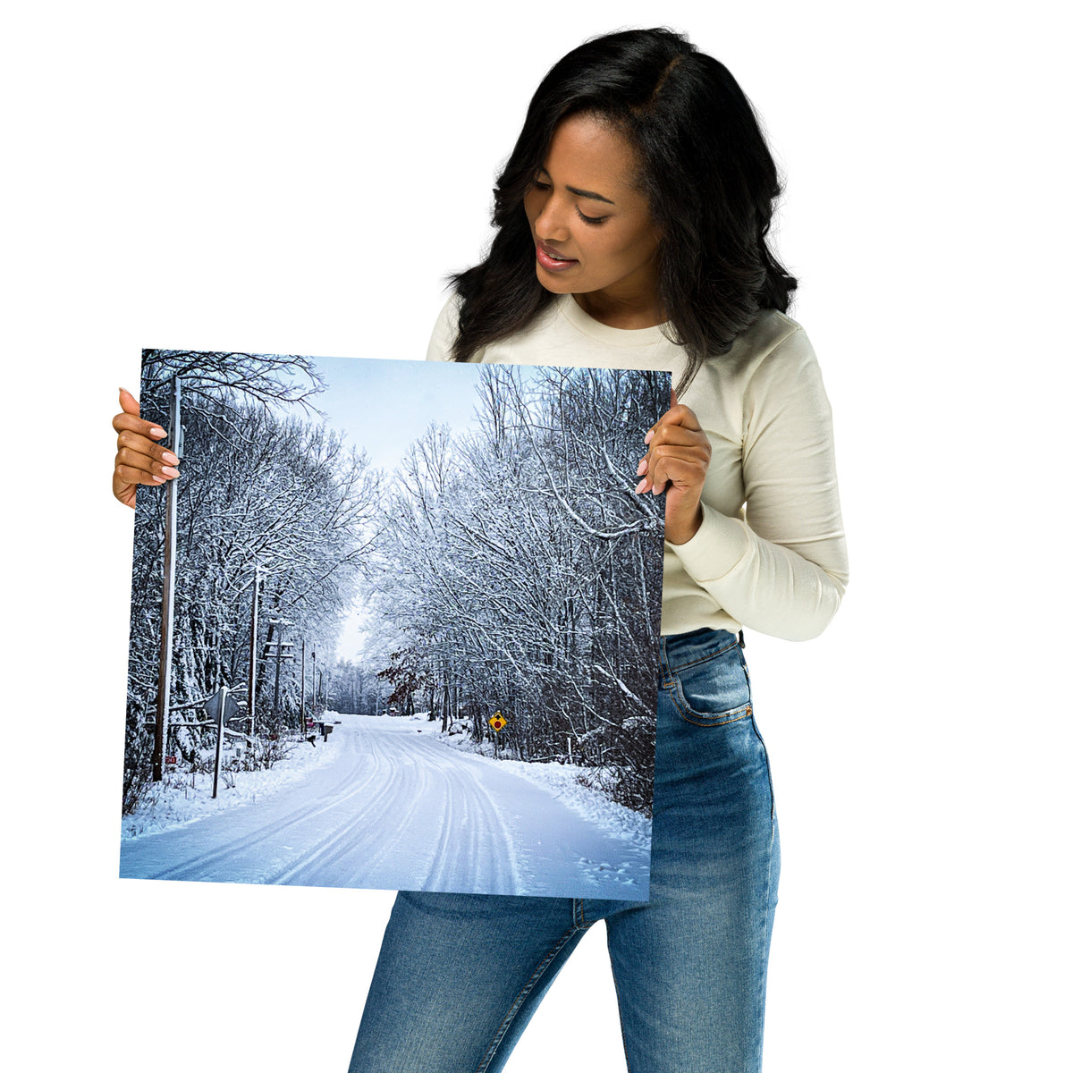 Path Of Snow Poster
