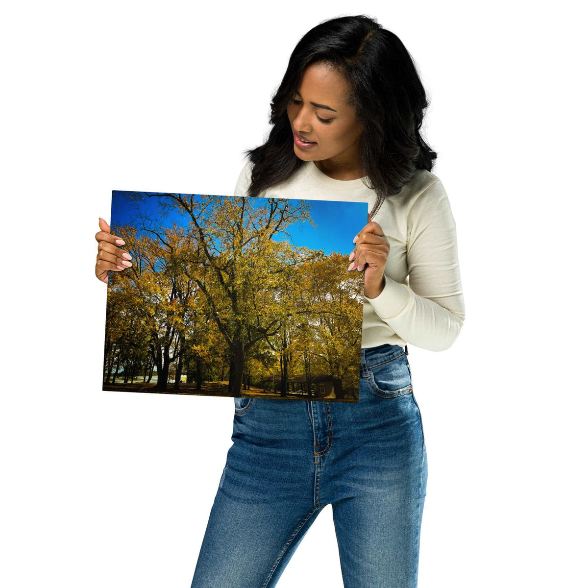 Fall Isles Metal prints
