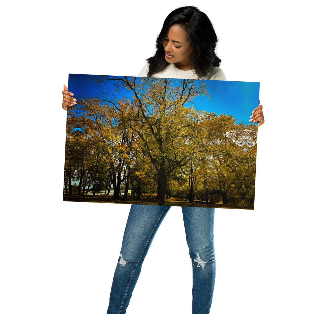 Fall Isles Metal prints